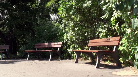 Bench In Summer Park Stock Footage 27268062