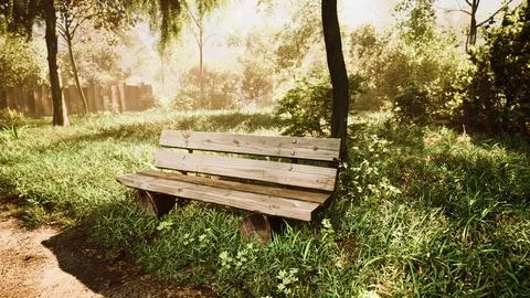 Bench in the summer park with old trees and footpath Ilustração Stock