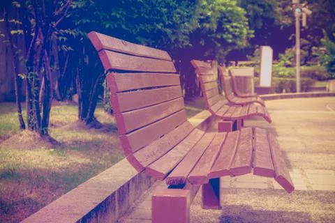 Bench in the summer park with old trees and footpath Stock Photos