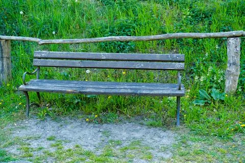 Bench in the summer park with old trees and footpath Stock Photos