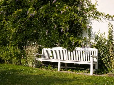 Bench in the summer park Stock Photos