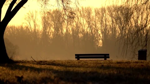 Bench at the sunrise 動画素材 102332125