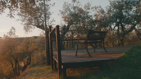 Bench sunset view in a Tuscany idyllic vineyard park in Vinci, Italy Vídeos de archivo 221356026