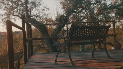 Bench sunset view in a Tuscany idyllic vineyard park in Vinci, Italy Stock Footage 221386060