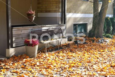 Bench surrounded by fallen leaves and flowers in baskets in the fall. Stock Photos
