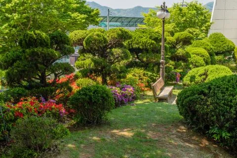 Bench surrounded by manicured trees Stock Photos