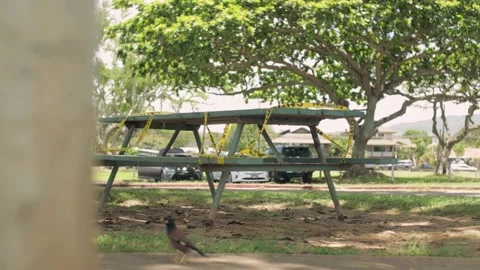 Bench table at beach park closed blocked with yellow caution tape, coronavirus. Stock Footage 133822556