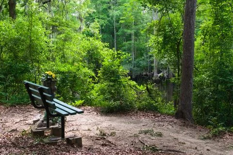 Bench on Trail Overlooking River Stock Photos