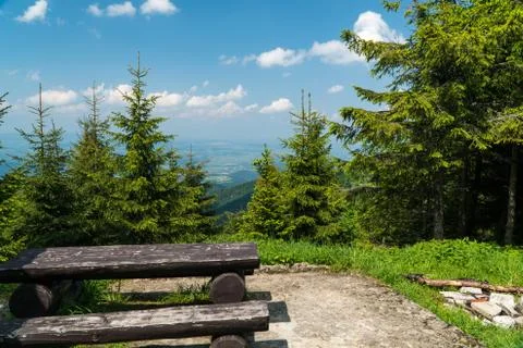 Bench on the trail. Stock Photos