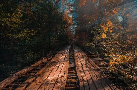 A bench on a train track with trees in the background Stock Photos