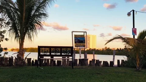 Bench &amp; tree on a lake shore Stock Footage 107827949
