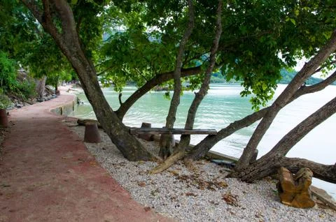 Bench tree on a sandy beach Stock Photos