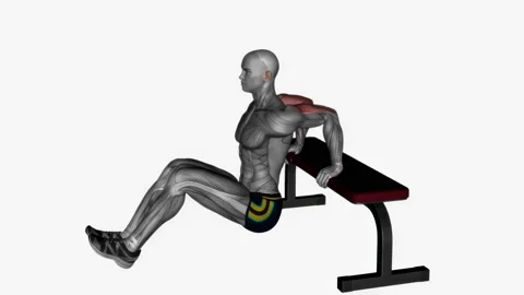 Bench triceps dip leg curls exercise fitness workout animation male muscle Stockbeeldmateriaal 227560023