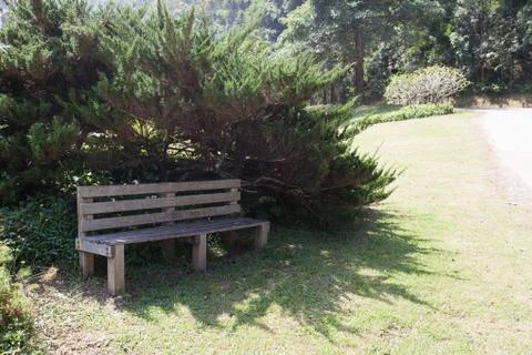 Bench under a bush Stock Photos