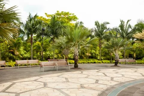 Bench under a palm tree in a Park Stock Photos