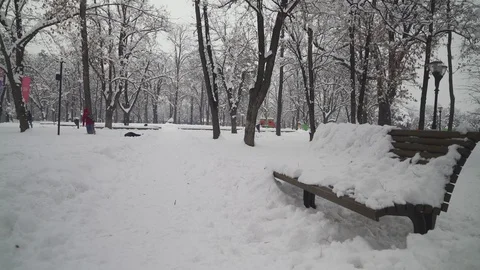 Bench under snow in park close up, two boys funny falling in snow in background. Stock Footage 101264400