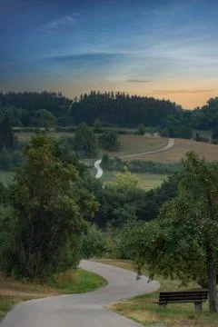 Bench under tree and road through nature at dawn Stock Photos