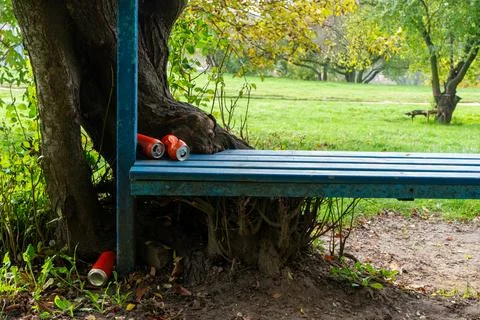 Bench under a tree with discarded cans in a green park Foto stock