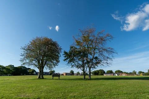 Bench under a tree in England Photos