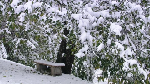 Bench under a tree with first snow in october Stock Footage 285135490