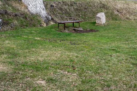 Bench under a tree in the garden Stock Photos