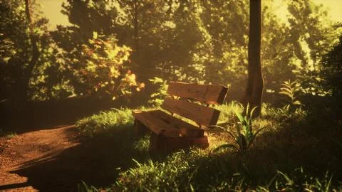 Bench under the tree in Gardens Stock Illustration
