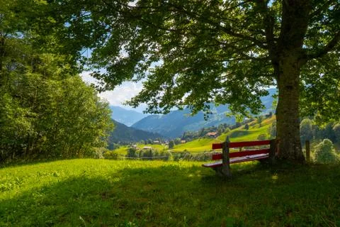 Bench under a tree on a hill. Mountain village at background. Stock Photos