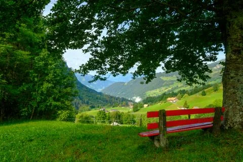 Bench under a tree on a hill. Mountain village at background. Stock Photos