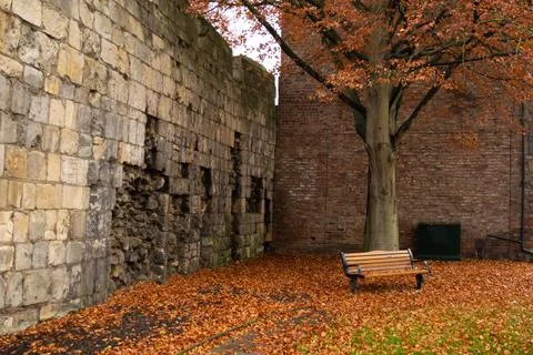 Bench under tree next to ancient York wall surrounded by autumn leaves 스톡 사진