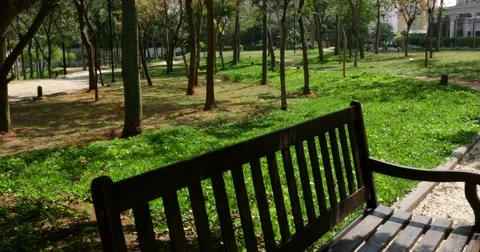 Bench under the tree in the Park Stock Footage 67959560