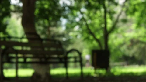 Bench under tree in the park out of focus bokeh Stock Footage 104740253