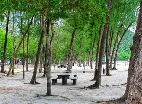 Bench under the tree in the park Stock Photos