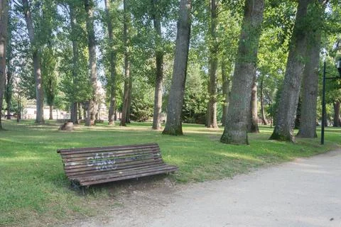 Bench under a tree in the Park Stock Photos