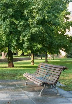 Bench under a tree in the Park Stock Photos