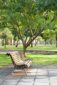Bench under a tree in the Park Stock Photos