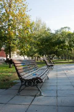 Bench under a tree in the Park Stock Photos