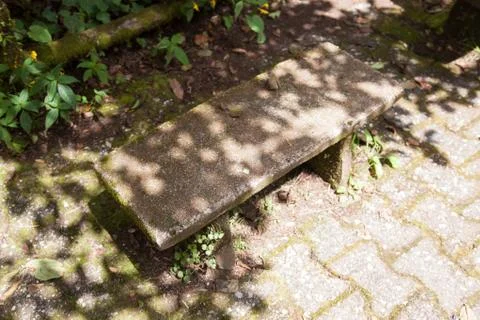 Bench under the tree Stock Photos