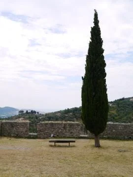 Bench under tree Stockfoto's