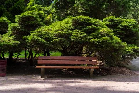Bench under the tree in quiet environment Stock Photos