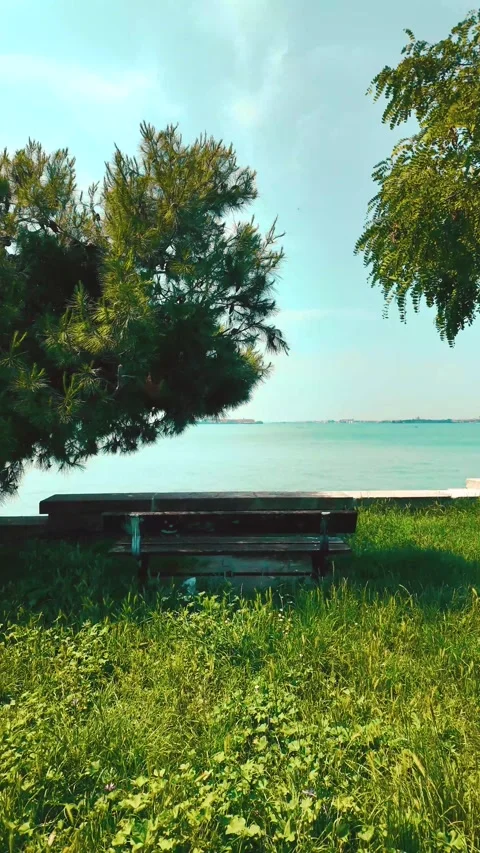 A bench under a tree by the Venetian Lagoon (9:16) Stock Footage 280389999