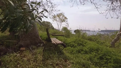 Bench under tree with view 스톡 동영상 105745992