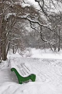 Bench under a tree in winter park Stock Photos