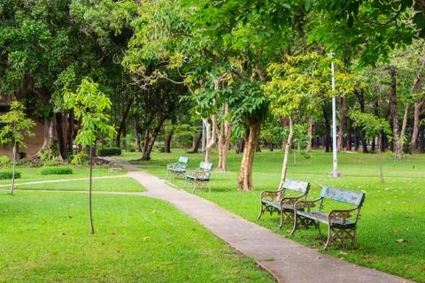 Bench under trees Stock Photos