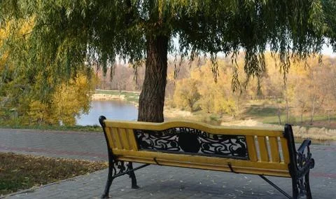 Bench under a willow tree Stock Photos