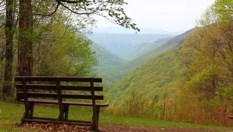 Bench with a view Stock Footage 4514668