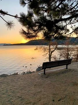 Bench view of sunset behind mountains over lake through the pine trees Stock Photos