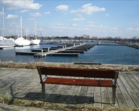 Bench by the Water PAL Stock Footage 10858126