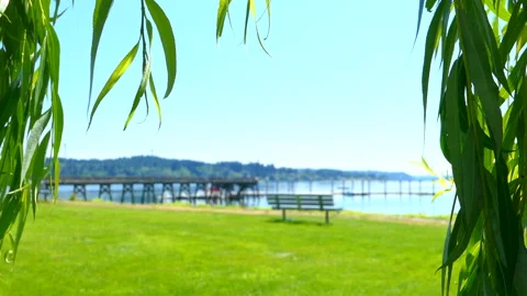 Bench in waterfront park Stock Footage 158508687
