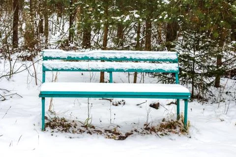 Bench in the winter forest Stock Photos