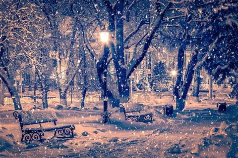 Bench in the winter park at night. Stock Photos